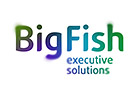 BigFish - executive solutions